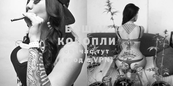 СК Абаза