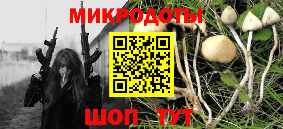 Псилоцибиновые грибы мицелий Барнаул