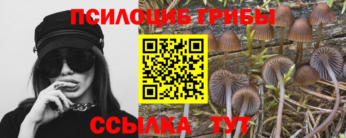Псилоцибиновые грибы Magic Shrooms  Вход с VPN  Галлюциногенные грибы мухоморы  Барнаул 