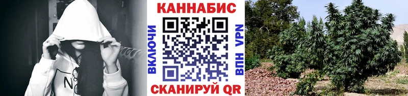 KRAKEN ONION  Барнаул  Бошки марихуана THC 21% 
